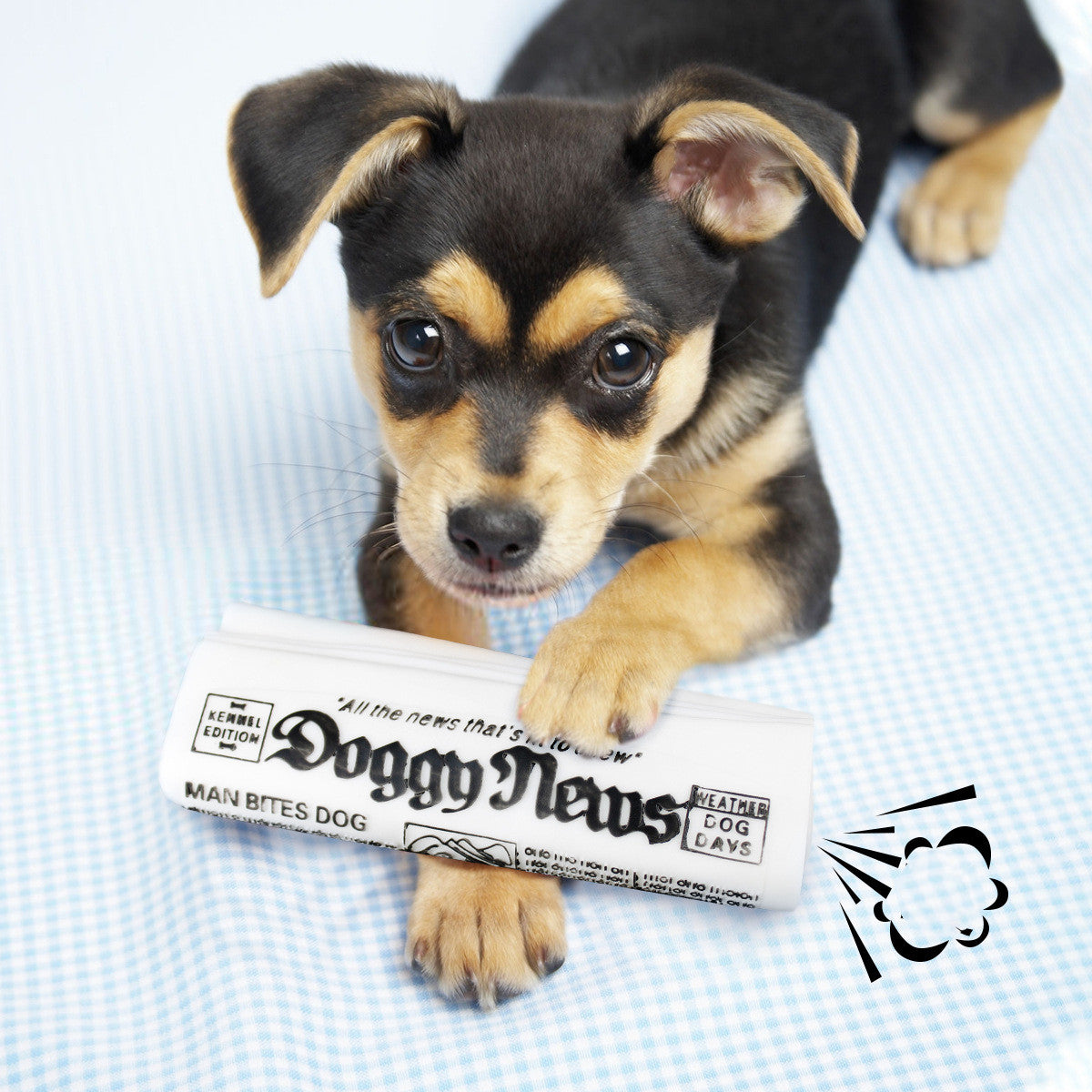 Doggy News Newspaper Squeaker