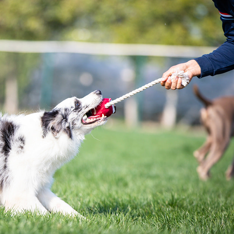 Rope-and-Hammer Tug Of War Toy