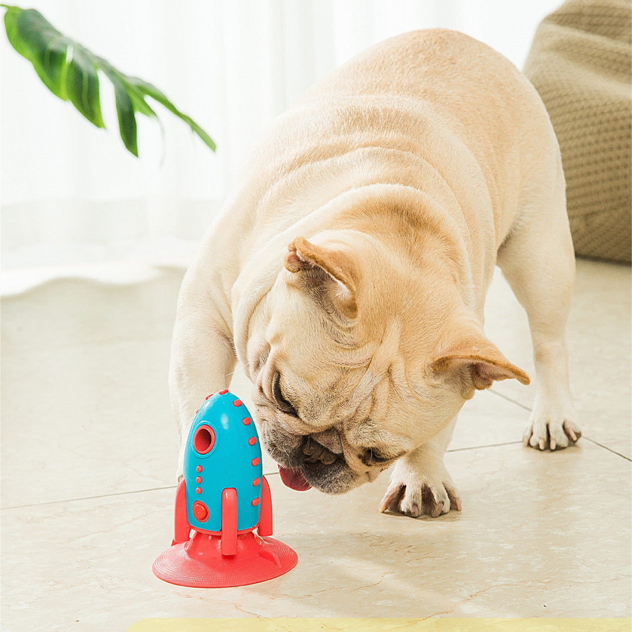 Rocket Dog Toy