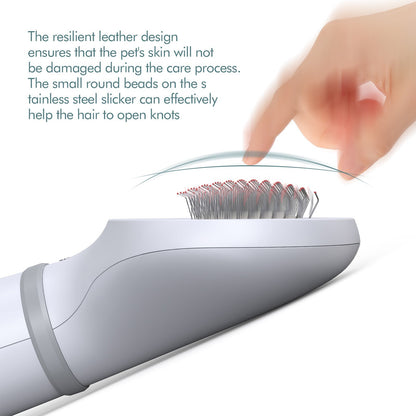 Hair Dryer Grooming Slicker Brush